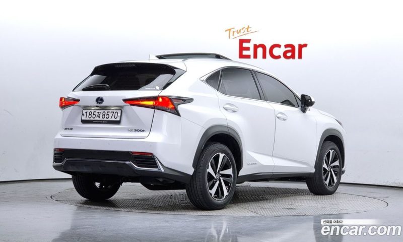Lexus NX Executive