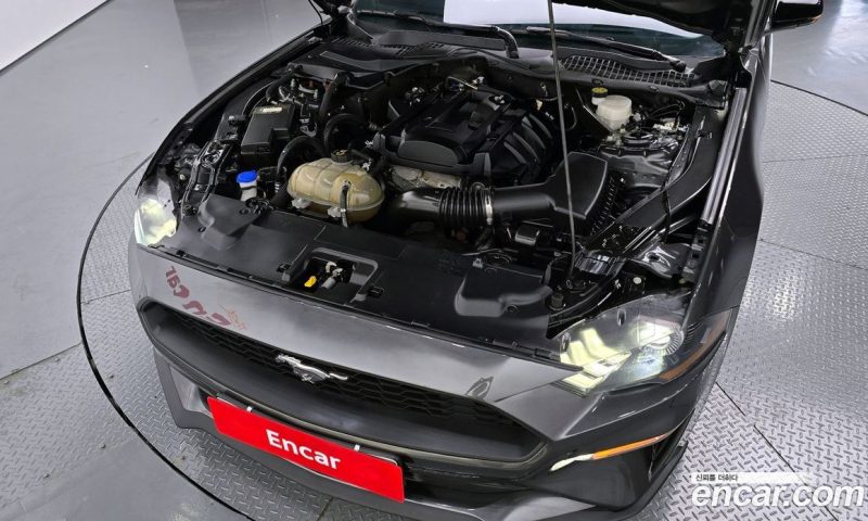 Ford Mustang Coupe