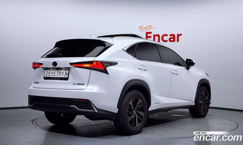 Lexus NX Executive