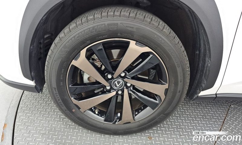 Lexus NX Executive