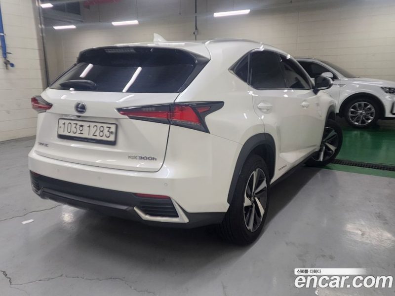 Lexus NX Supreme