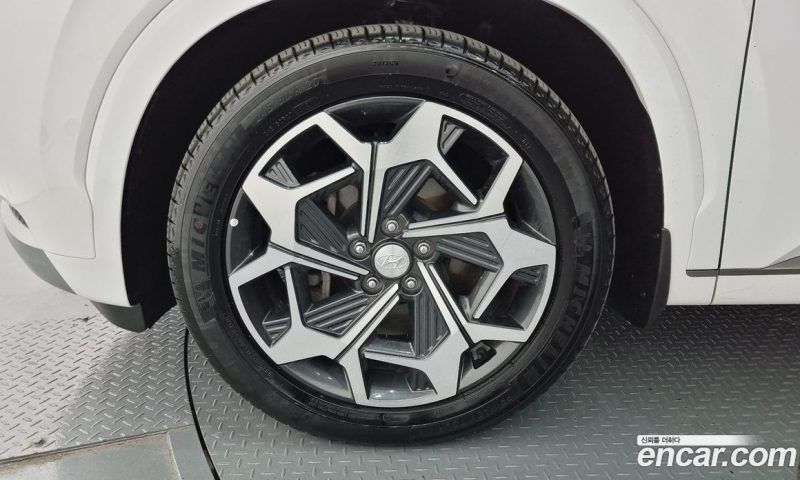 Hyundai Palisade Diesel 2.2 4WD