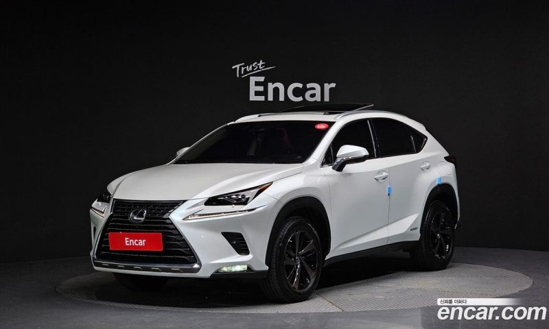 Lexus NX Executive