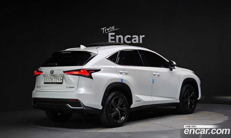 Lexus NX Executive