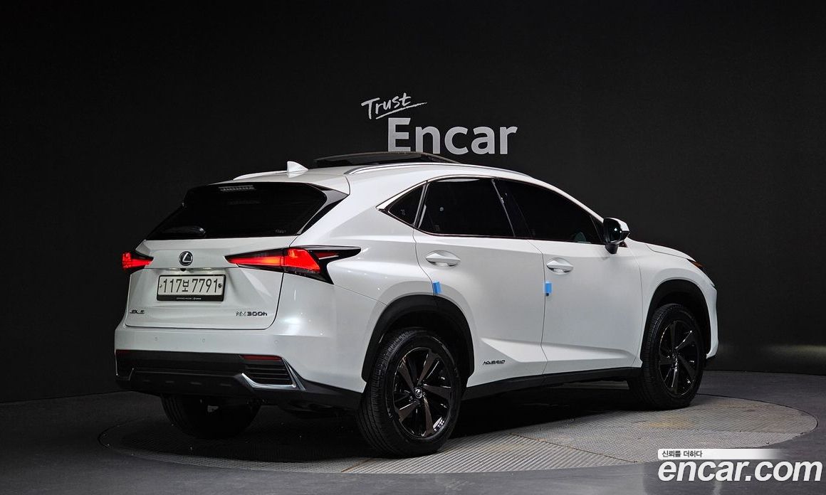Lexus NX Executive