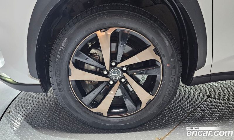 Lexus NX Executive