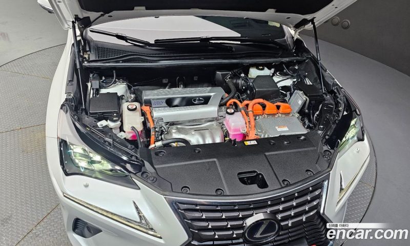 Lexus NX Executive