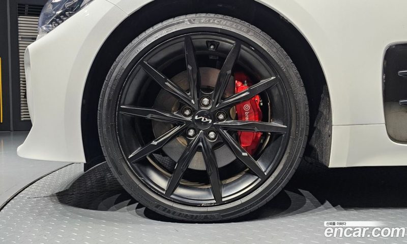 Kia Stinger 2.5 Masters ACRO EDITION