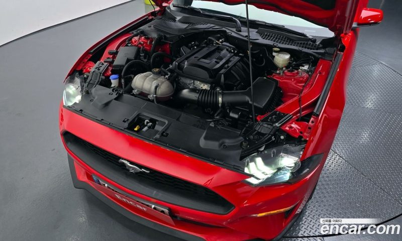 Ford Mustang Coupe