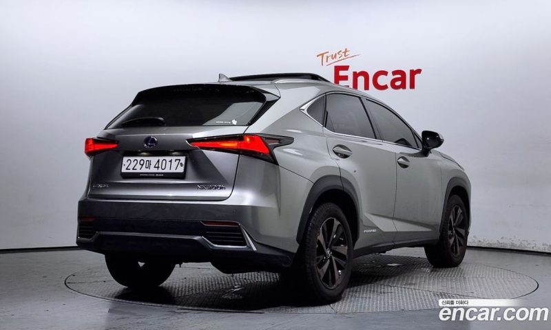 Lexus NX Executive