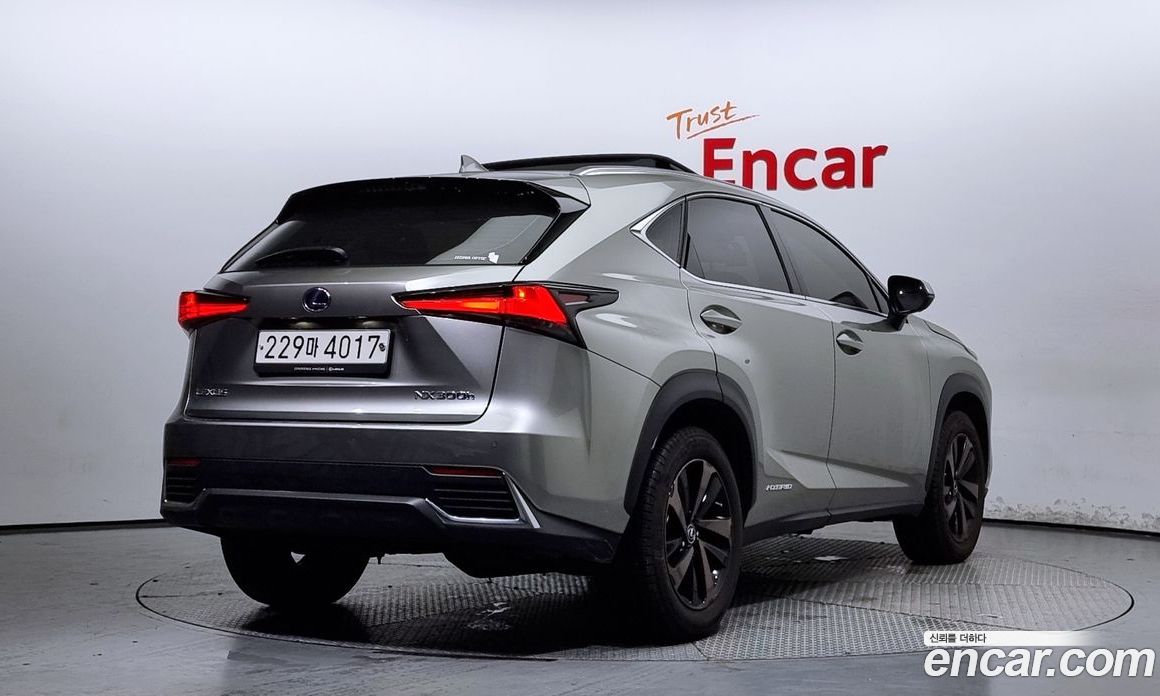 Lexus NX Executive