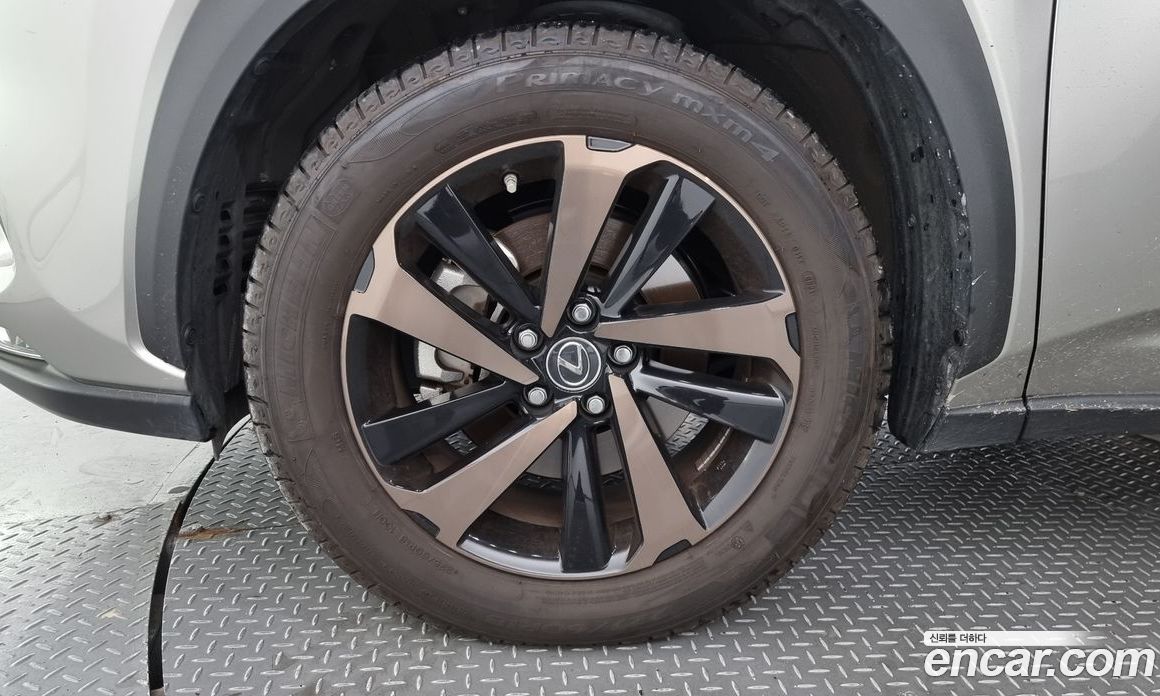 Lexus NX Executive