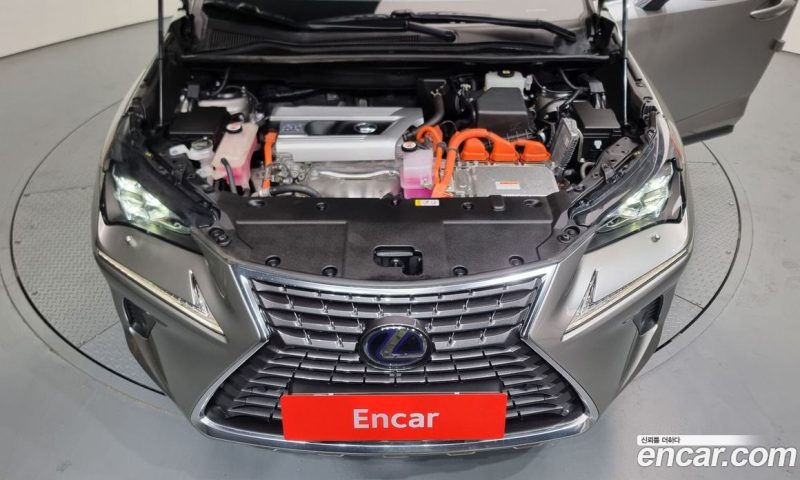 Lexus NX Supreme