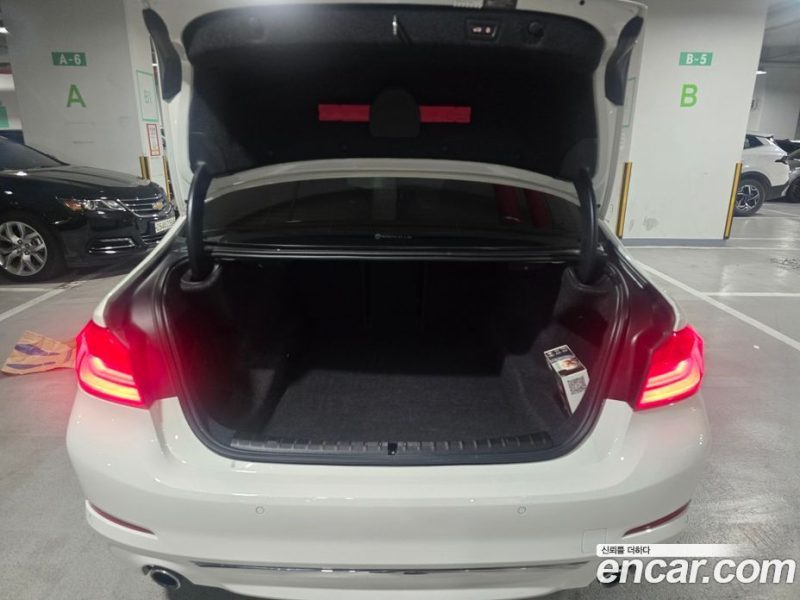BMW 5-Series i520 Luxury
