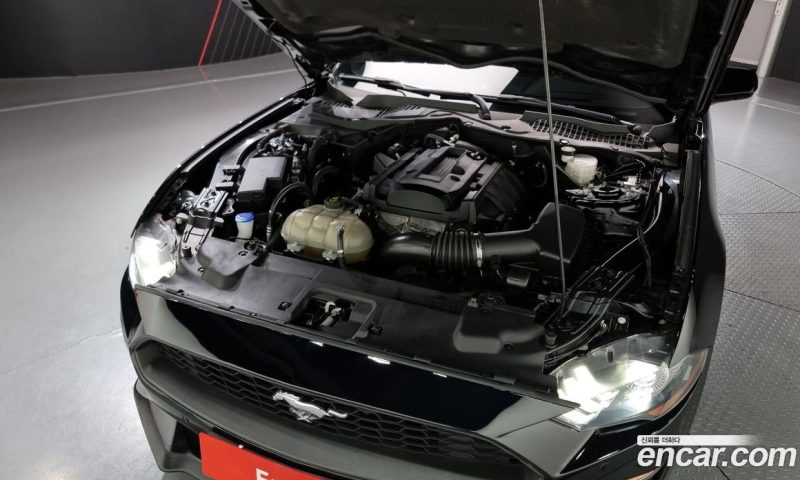 Ford Mustang Coupe