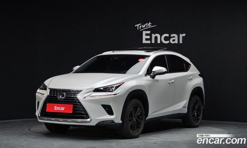 Lexus NX Executive