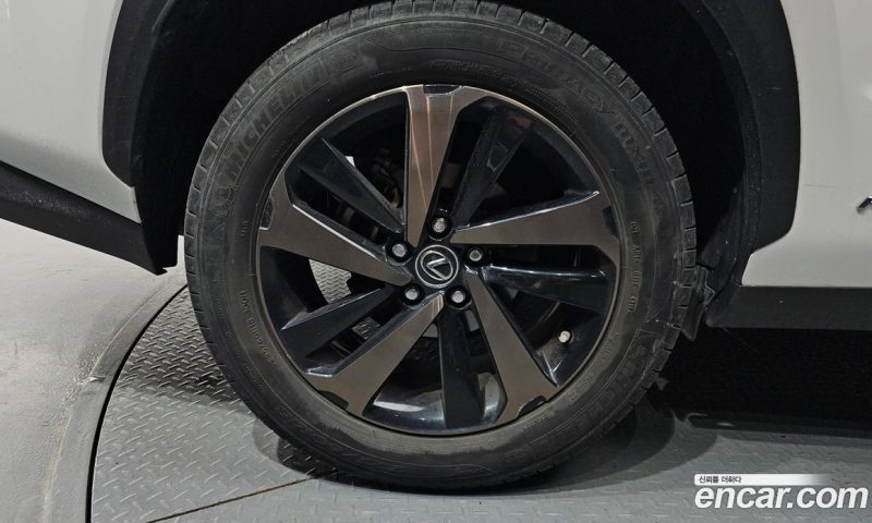 Lexus NX Executive