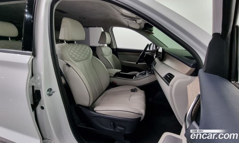 Hyundai Palisade Diesel 2.2 2WD