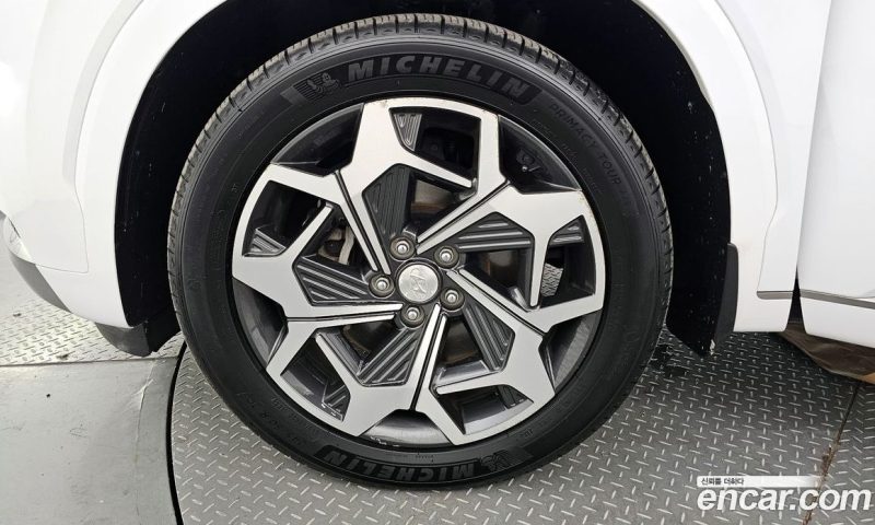 Hyundai Palisade Diesel 2.2 4WD