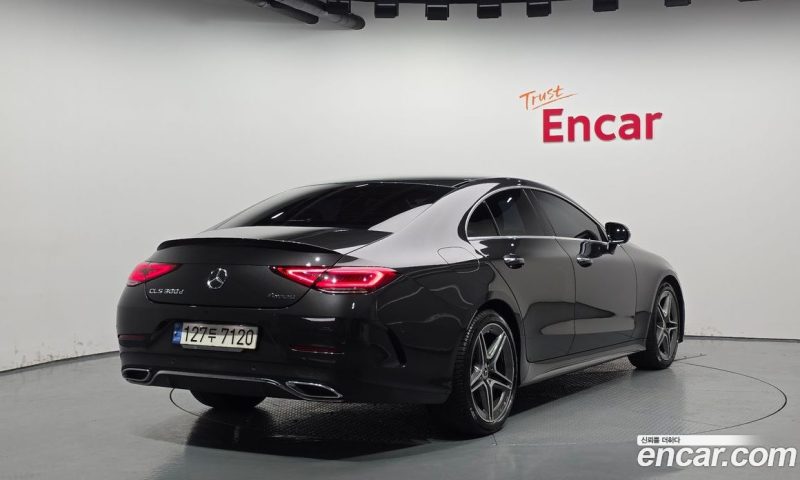 Mercedes Benz CLS-Class CLS300d 4MATIC