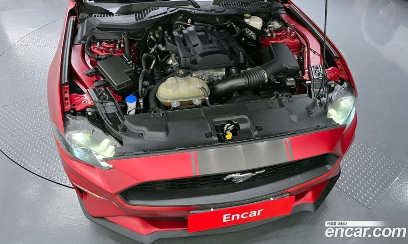 Ford Mustang Convertible