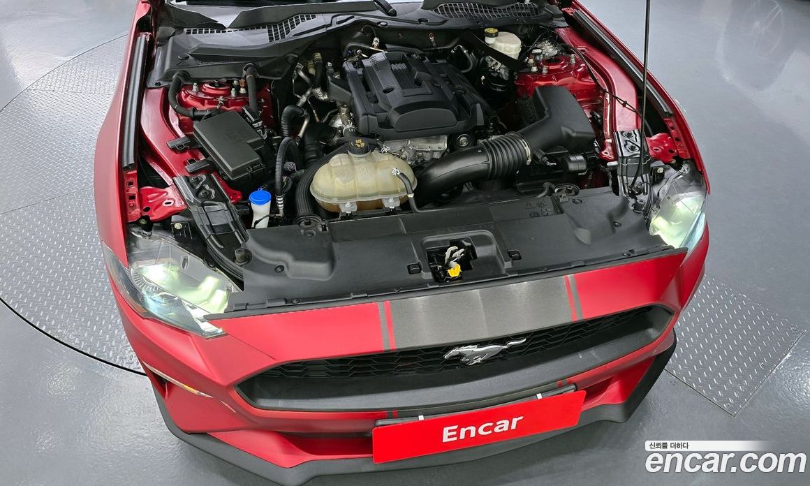 Ford Mustang Convertible