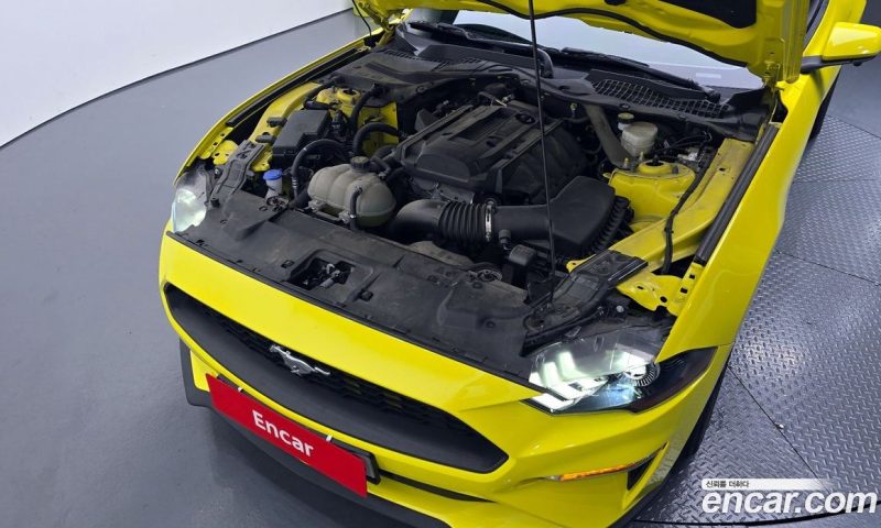 Ford Mustang Coupe