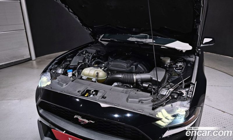 Ford Mustang Convertible