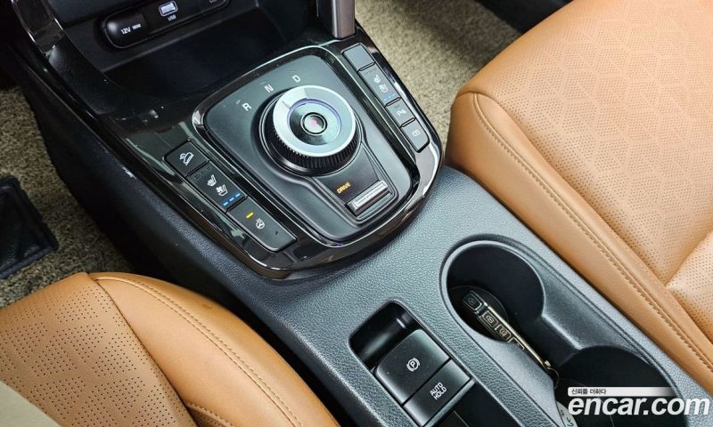 Kia Seltos Gasoline 2.0 2WD