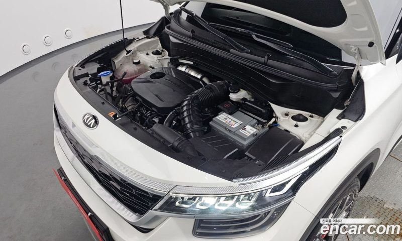 Kia Seltos Gasoline 1.6 Turbo 2WD