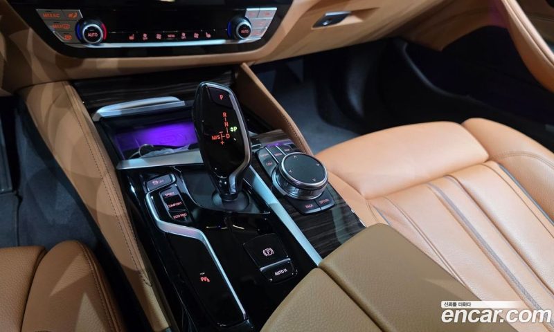 BMW 5-Series i520 Luxury