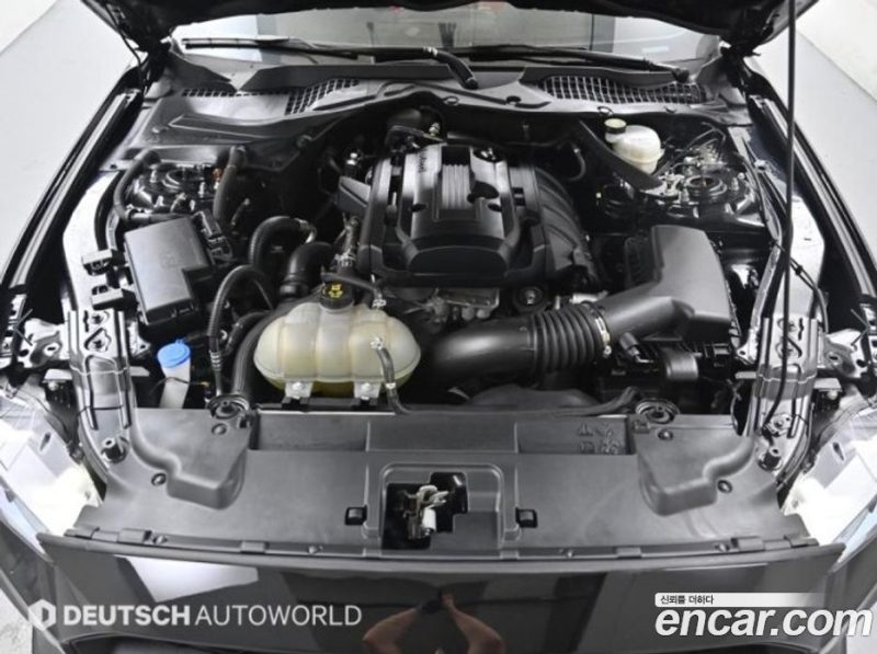 Ford Mustang Convertible