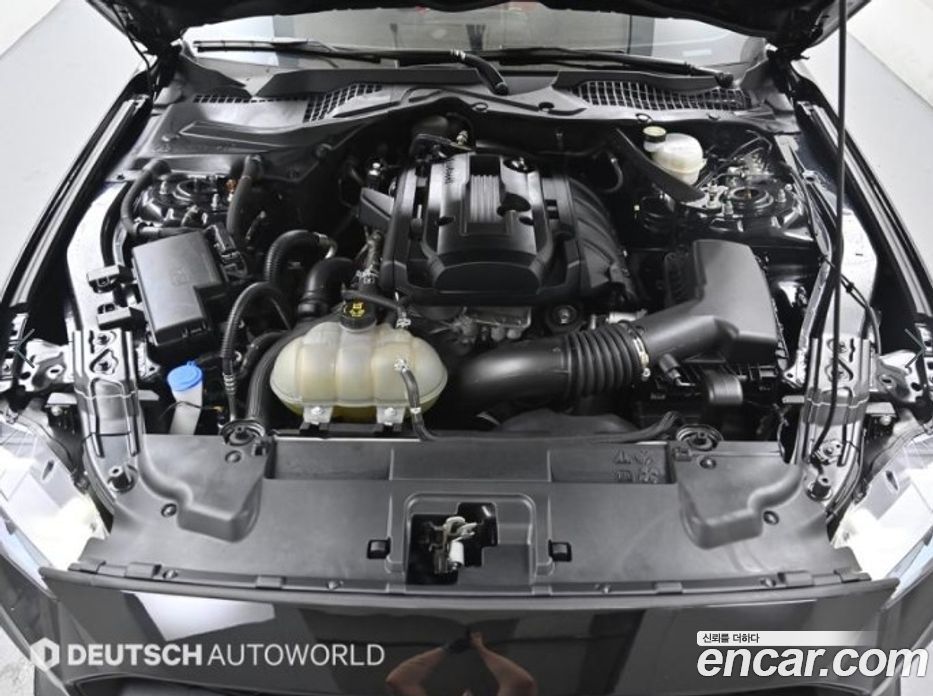 Ford Mustang Convertible